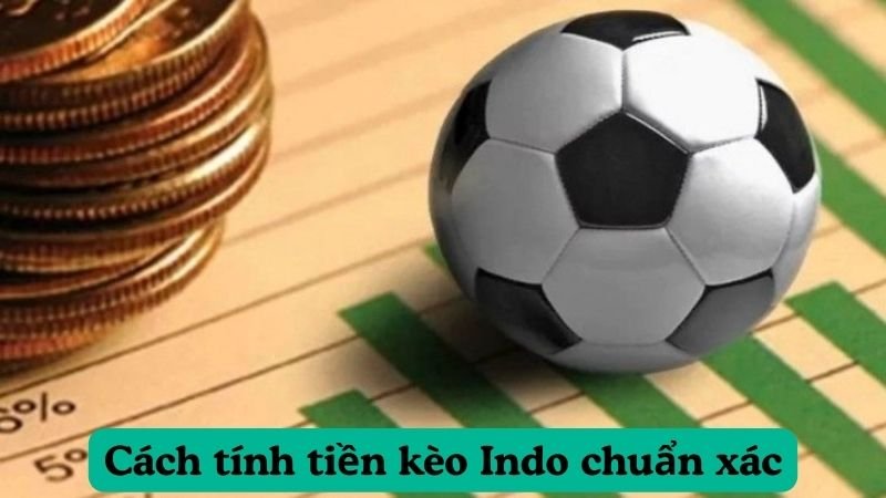 Cách tính tiền kèo Indo chuẩn xác