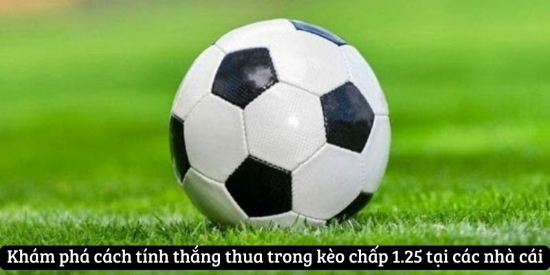 Khám phá cách tính thắng thua trong kèo chấp 1.25 tại các nhà cái