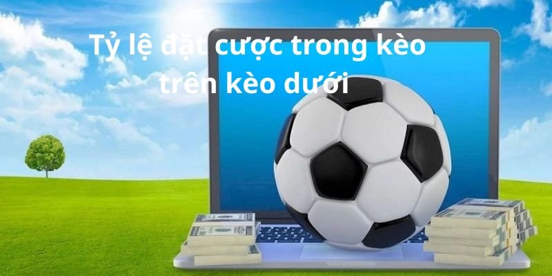 Tỷ lệ đặt cược trong kèo trên kèo dưới 