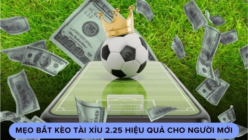 Mẹo bắt kèo tài xỉu 2.25 hiệu quả cho người mới