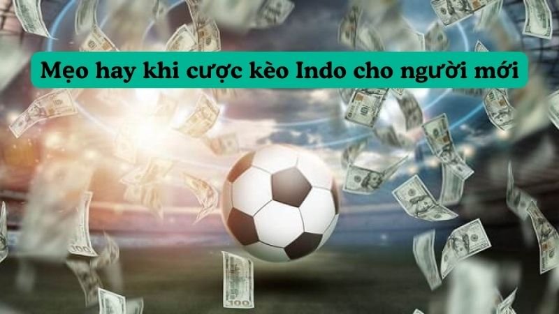 Mẹo hay khi cược kèo Indo cho người mới