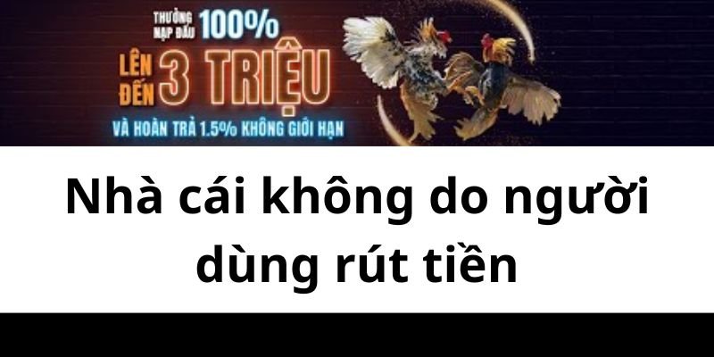 Nhà cái không do người dùng rút tiền