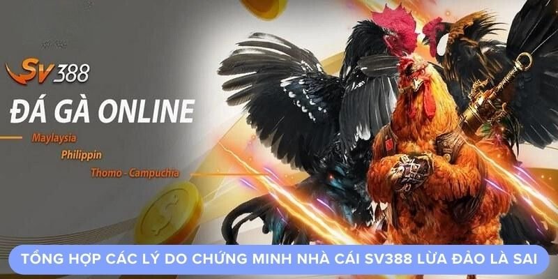 Tổng hợp các lý do chứng minh nhà cái sv388 lừa đảo là sai