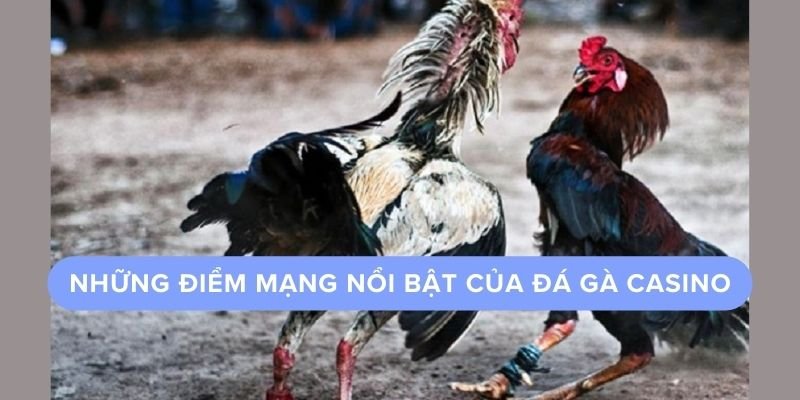 Những điểm mạnh nổi bật của đá gà casino trực tiếp